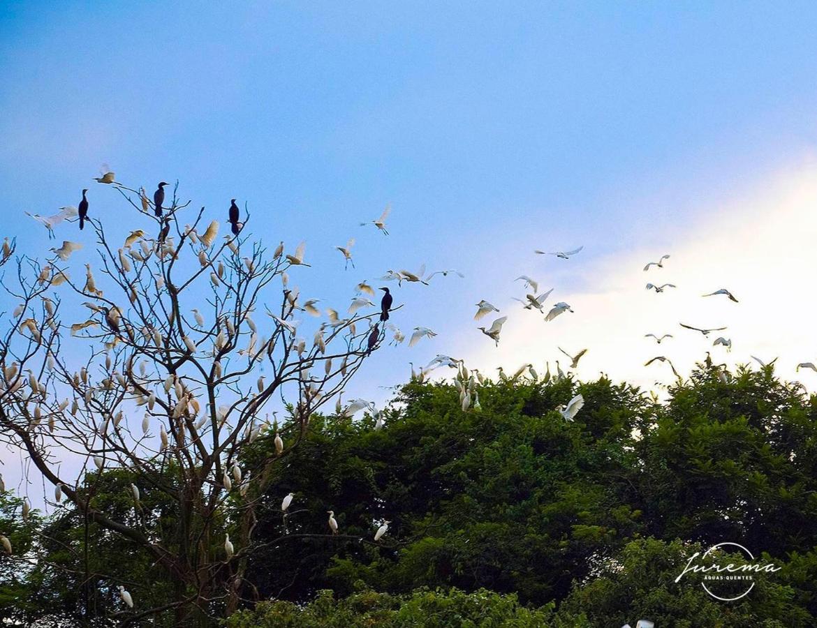 Lagos De Jurema Termas Resort Iretama 外观 照片
